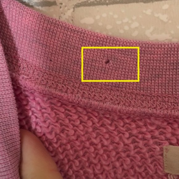 Madewell Pink Crewneck Sweatshirt - Picture 10 of 10